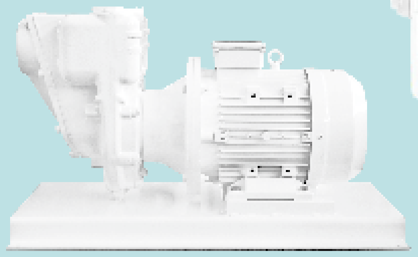 LIVERANI AML B G3/11