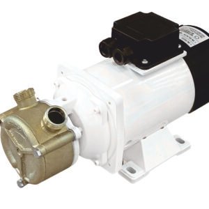 Liverani Ep 20 24v Dc Bronze Pump