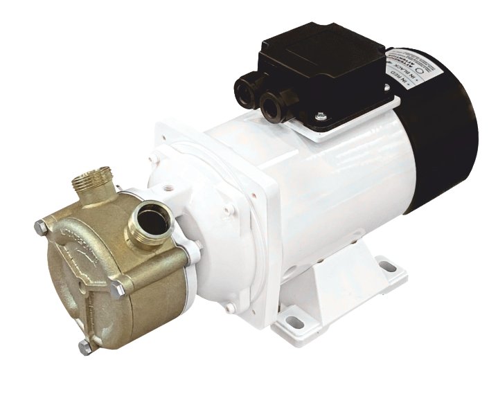 Liverani Ep 20 24v Dc Bronze Pump