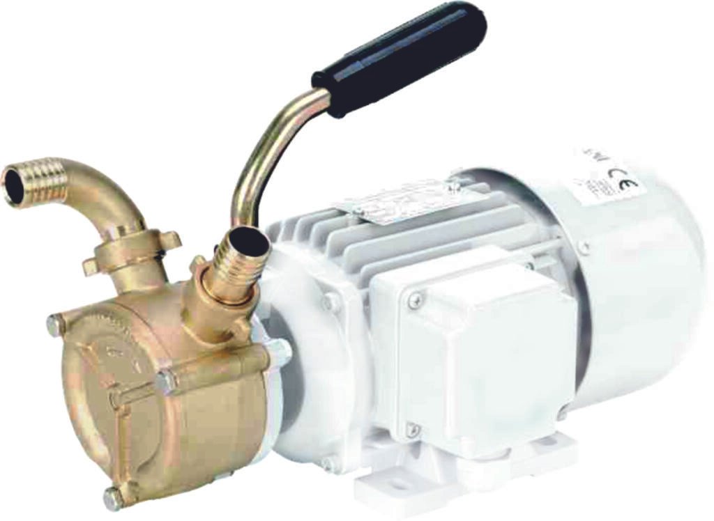 Liverani Ep Bronze Pump With Handle