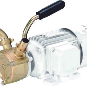 Liverani Ep Bronze Pump With Handle